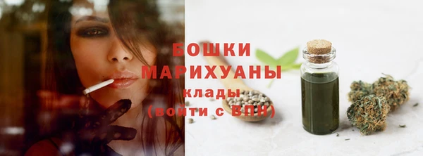 дмт Горнозаводск
