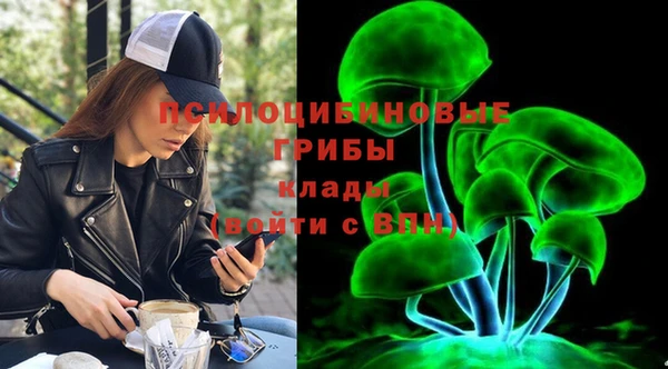 дмт Горнозаводск
