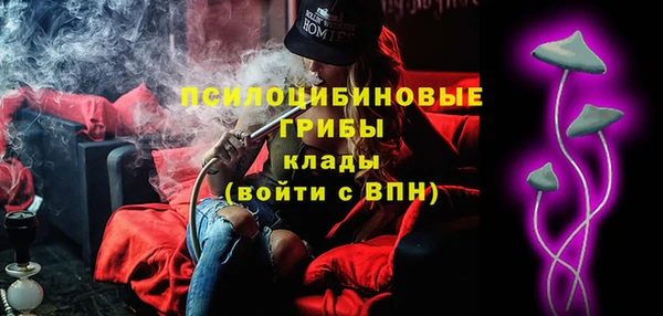 дмт Горнозаводск