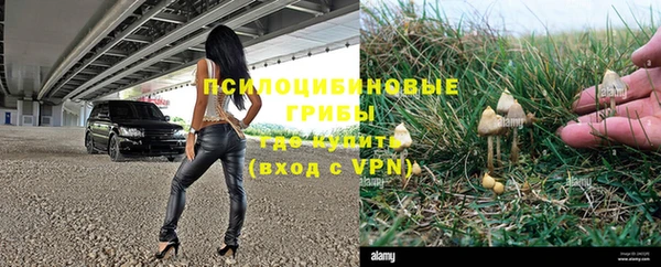 дмт Горнозаводск