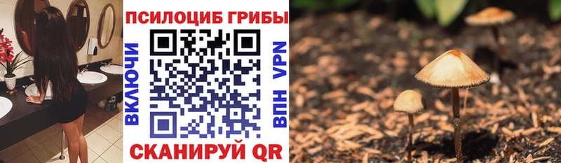 Галлюциногенные грибы MAGIC MUSHROOMS  Купить закладки  Осташков 